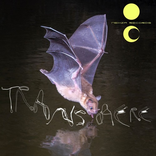 Transaere Snippets - Nehza Records