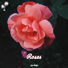 Lofi Beliefs - Roses