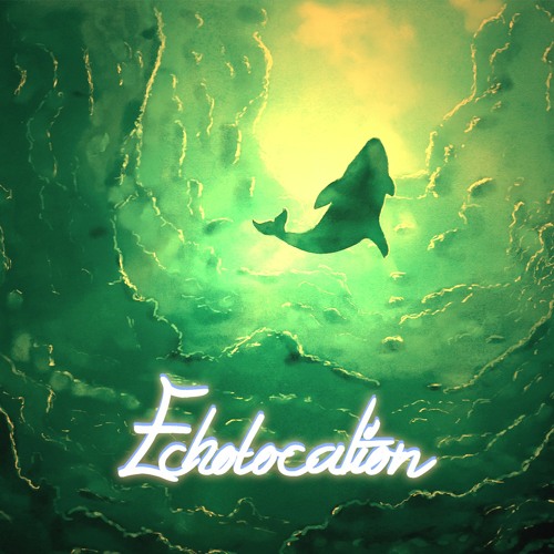 Echolocation