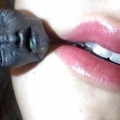 Things I will Not Explain