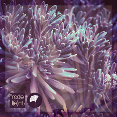 18- 2024 WEEKLY HOUSE CHART --- 29/12/2024