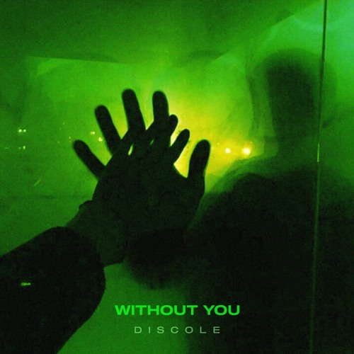 Discole - Without You (Techno)