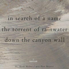 Search Down The Canyon (Naviar Haiku 505)
