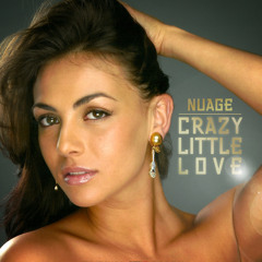 Crazy Little Love (Extended Mix)