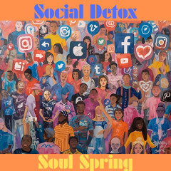 Social Detox