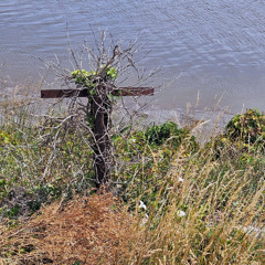 Habit (rubbish)