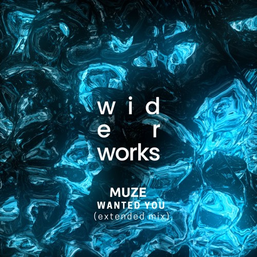 Muze - Wanted You