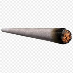 zoaget