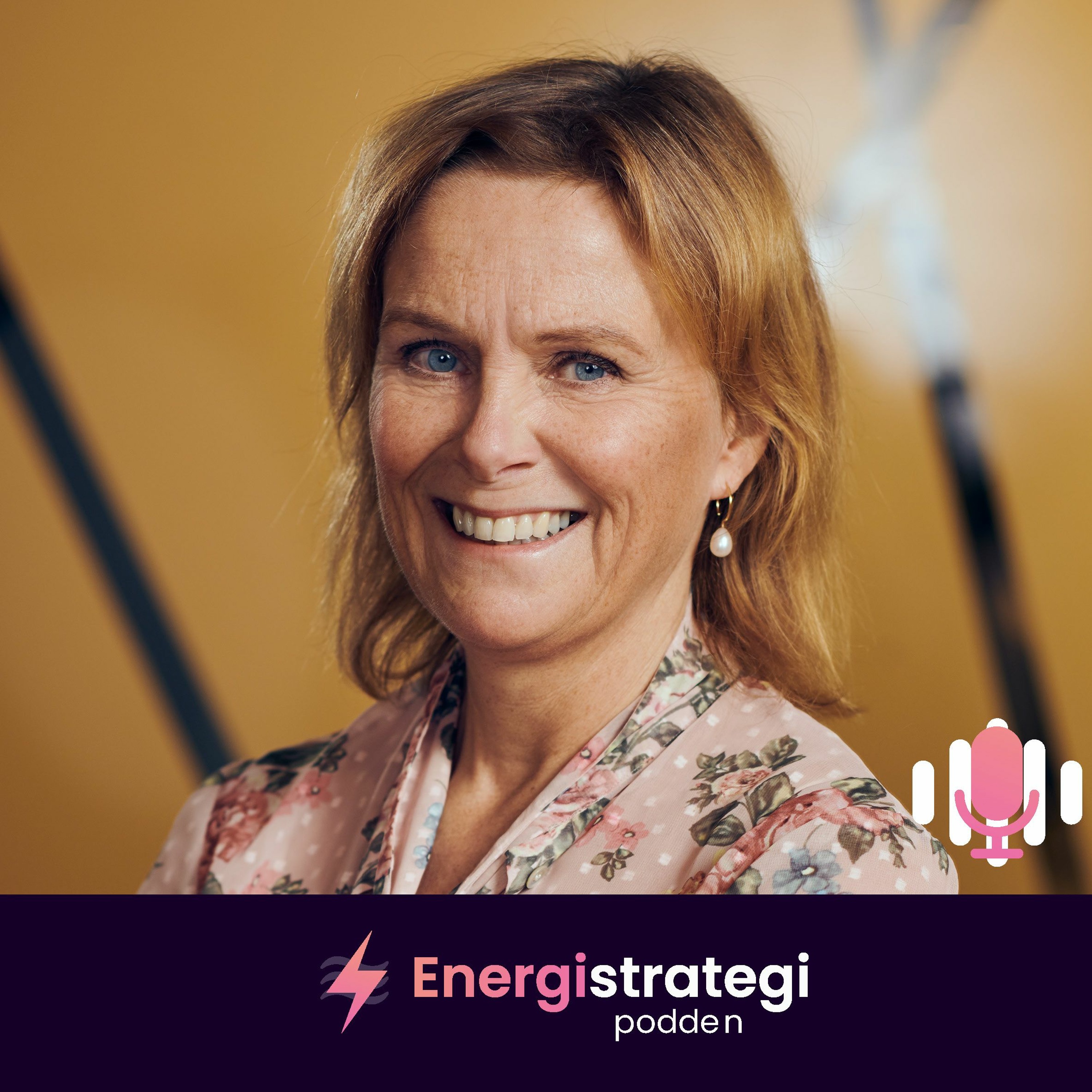 Energistrategipodden