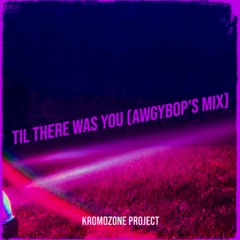 Til There Was You (AwgyBop's Mix)