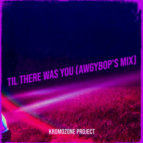 Til There Was You (AwgyBop's Mix)