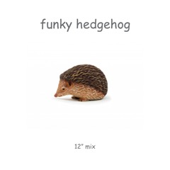 Funky Hedgehog  - Extended 12" Version