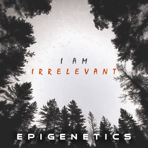 I Am Irrelevant