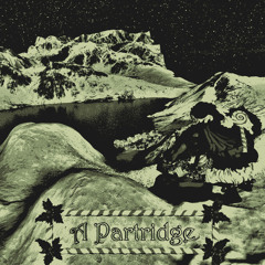 A Partridge (HORSE the band chiptune cover)