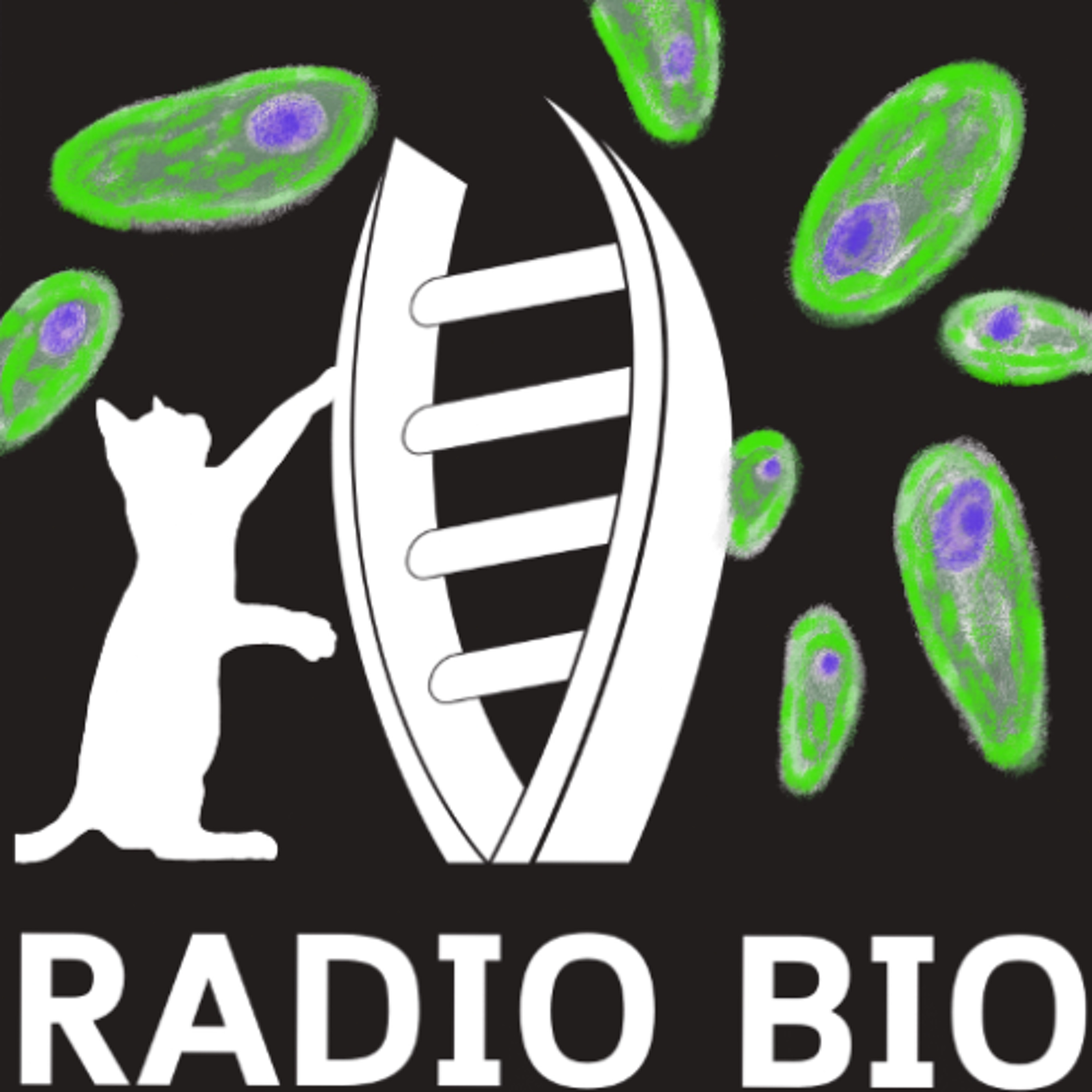 RadioBio