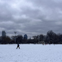 Snow day :: 100% vinyl mix Feb 2025
