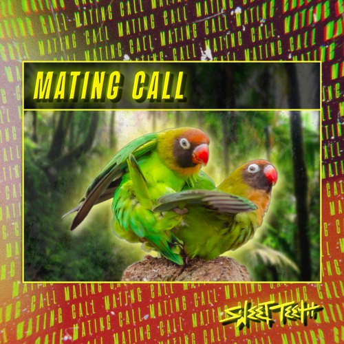 Mating Call 🐦