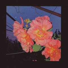 id:183 [Free]