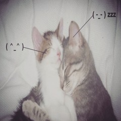 sorriso de gato prod gotchigo and jae
