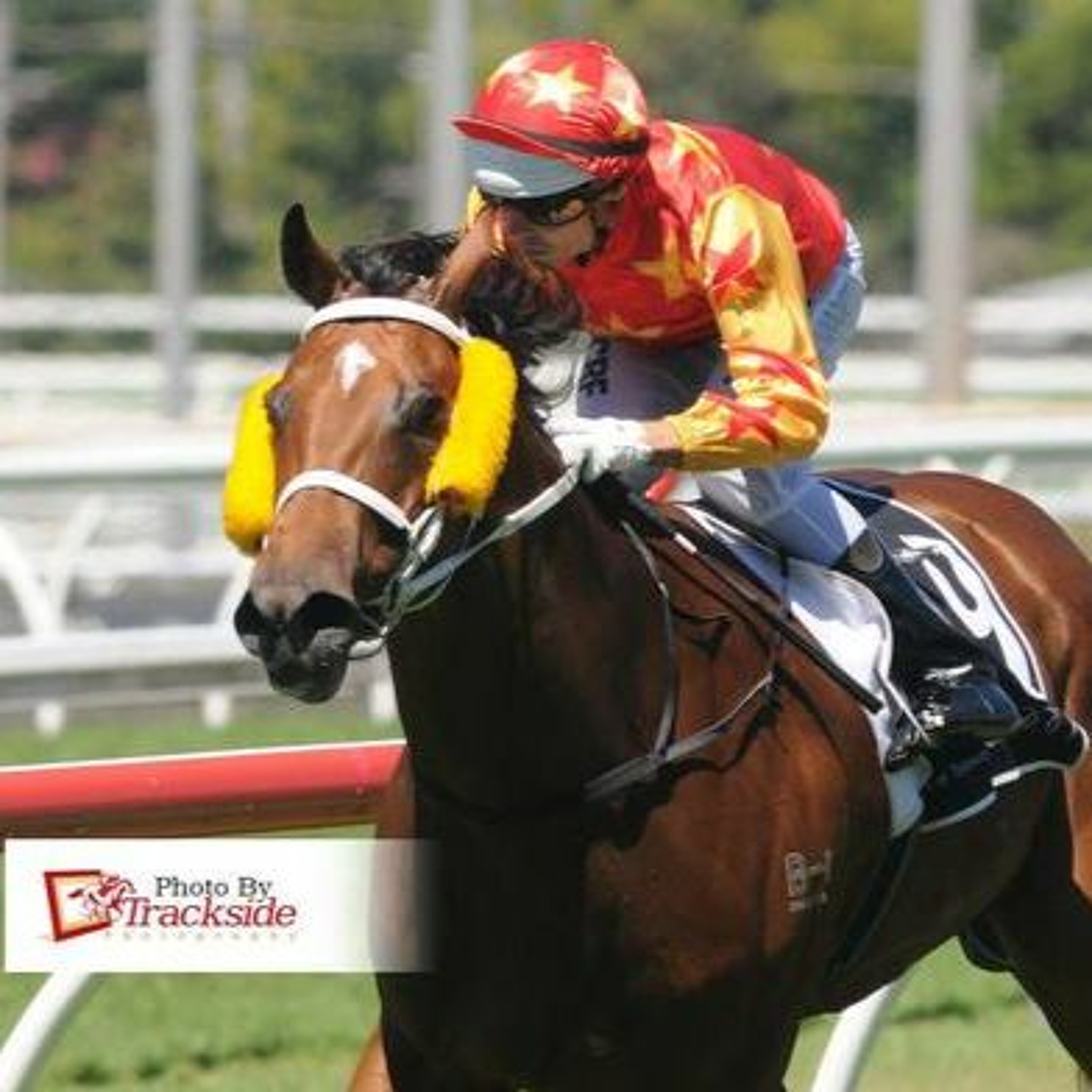 Gold Coast 13th Of March Punting Preview