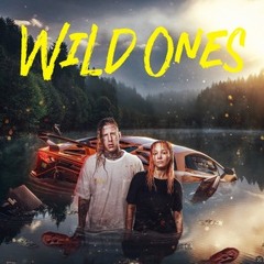 Tom MacDonald . Nova Rockafeller - Wild Horses