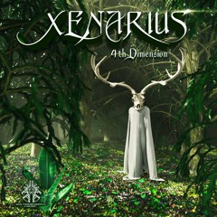 Xenarius & Dr Acid - Soul