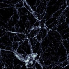 dark matter