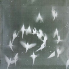 Teddy Picker- Arctic Monkeys(Slowed + Reverb)