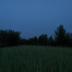 её любимый трек