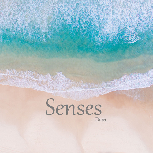 Senses (2020)