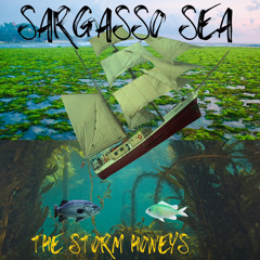 Sargasso Sea Single 2023
