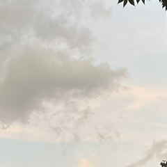 Time is rolling by (DEMO)