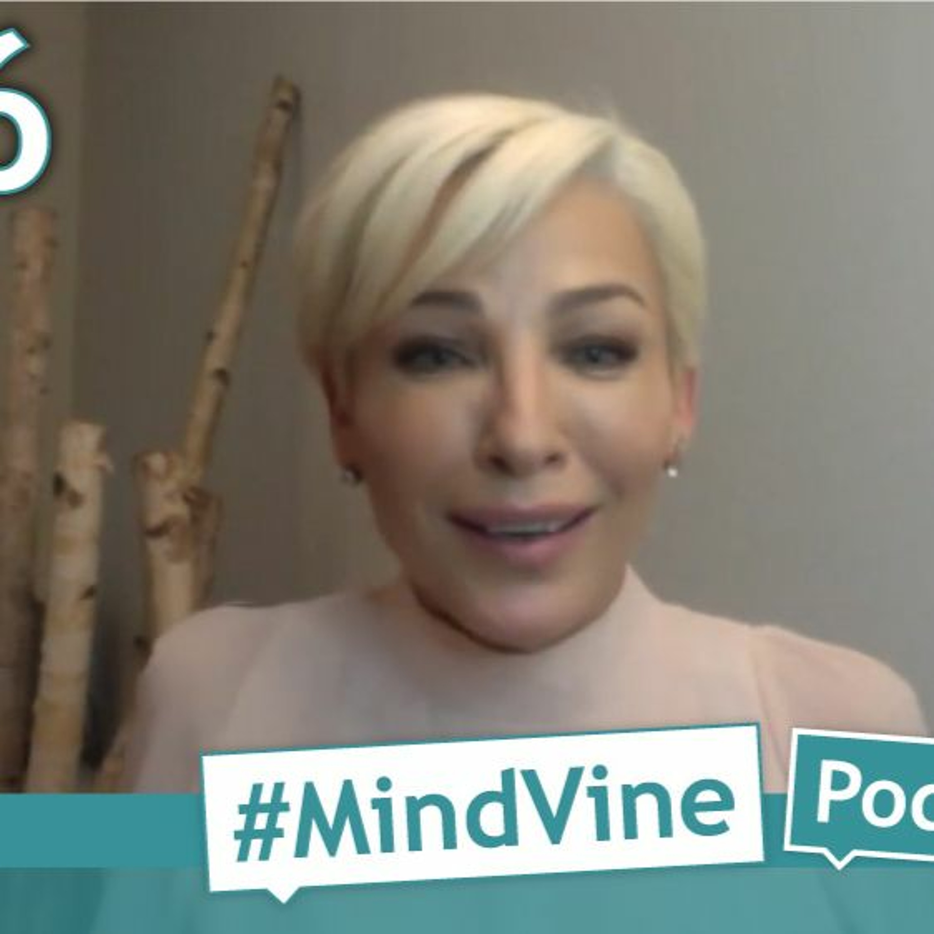 MindVine Podcast