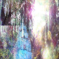 Switchin Dimensions P. Tperccc