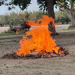 dry i's (killedmyself)