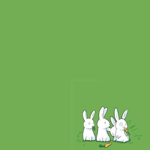 🐰Tiny🐰Traumatized🐰Bunnybabbits🐰