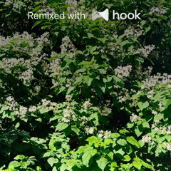 alan vuong - DEEP IN YOUR SOUL (@luckycharm Hook Remix)