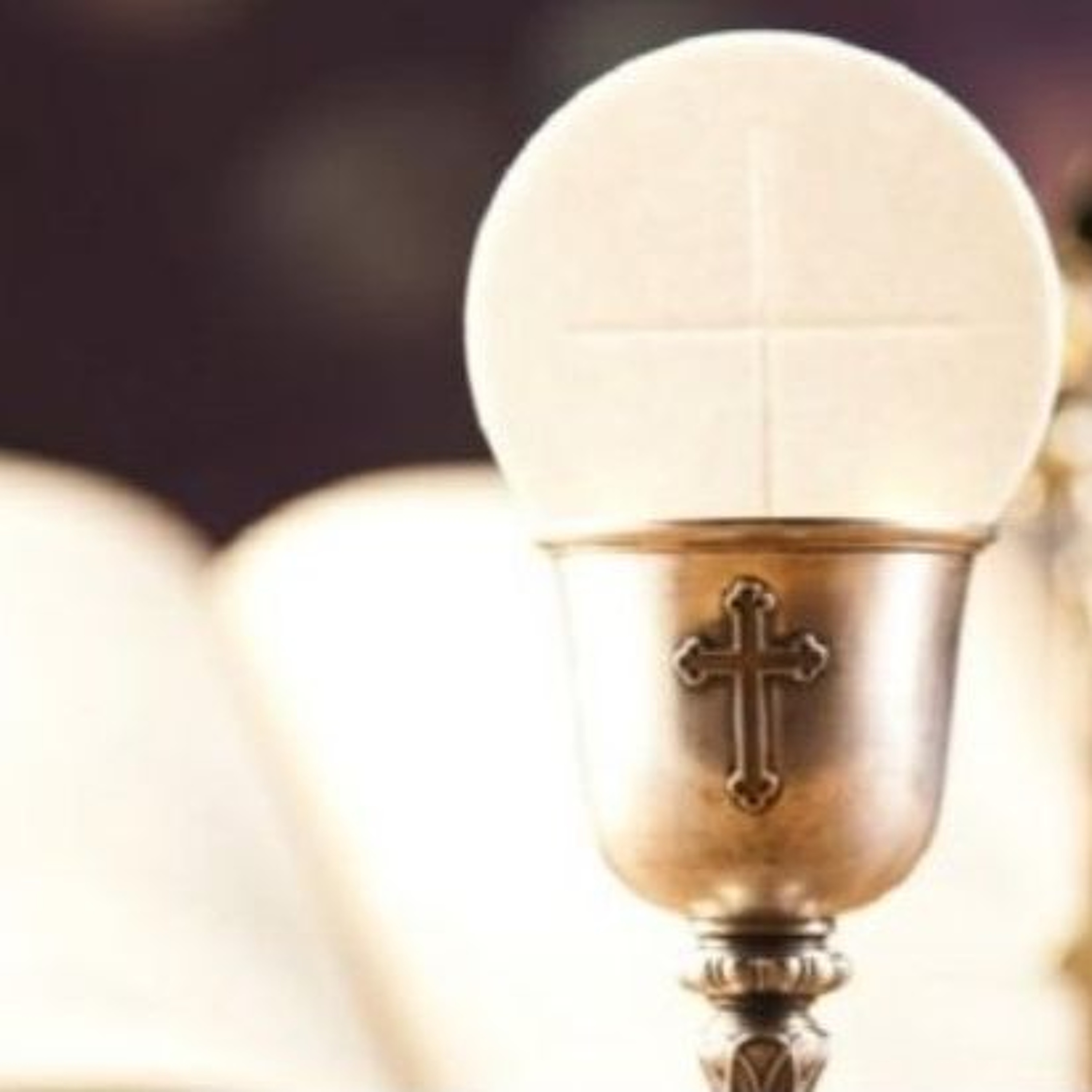 Why Did Jesus Elect to Come to Us Through the Mystery of the Eucharist? episode artwork