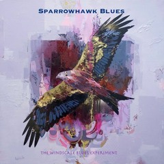 Sparrowhawk Blues