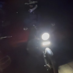 Бешенный альфавод