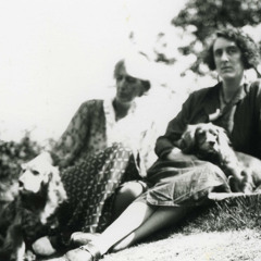 nightmare hours (library demo)