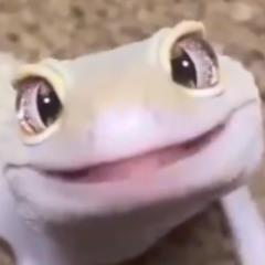 Skrunch