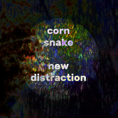 New Distraction