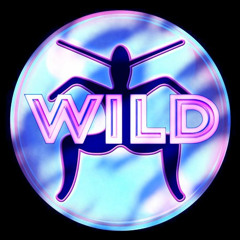 Wild FM Mashup