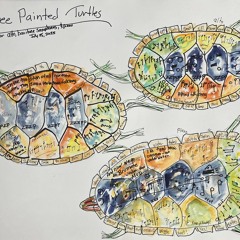 Three painted turtles
