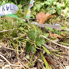 En faire tout un fromage