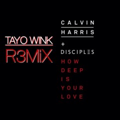 Calvin Harris, Disciples - How Deep Is Your Love (Tayo's Calle Ocho MiX)