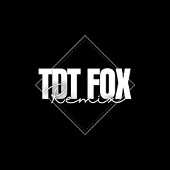 Vong Quay Thoi Gian - La Phong Lam - Tdt Fox Remix