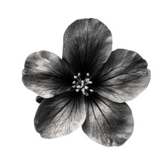 Выше(prod.404lbs)