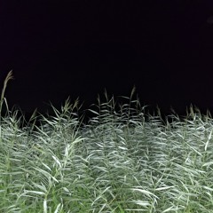 Uniek